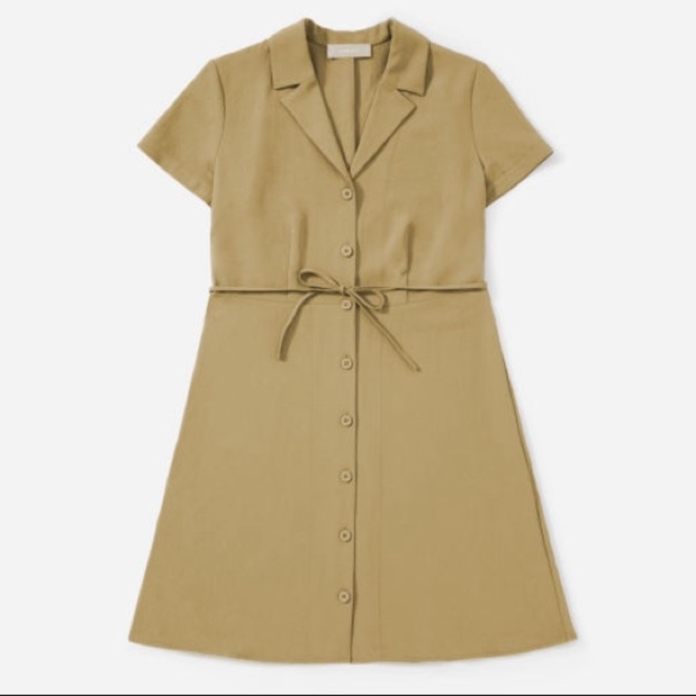 Everlane Japanese GoWeave Notch Shirtdress - Olive
